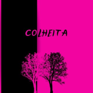 COLHEITA