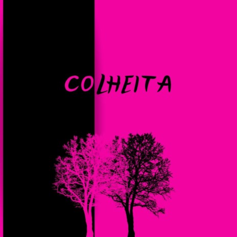 COLHEITA | Boomplay Music