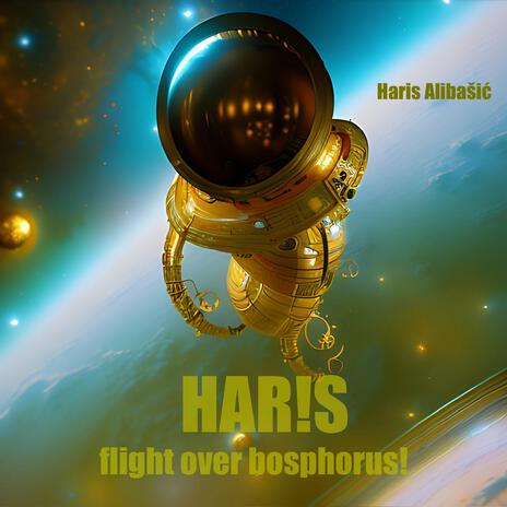 flight over bosphorus! (single edit)