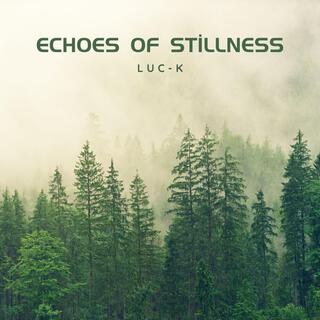 Echoes of Stillness