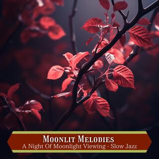 A Night of Moonlight Viewing-Slow Jazz