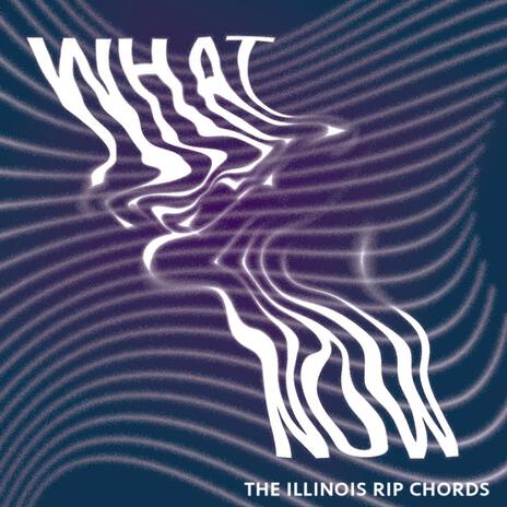 What Now | Boomplay Music