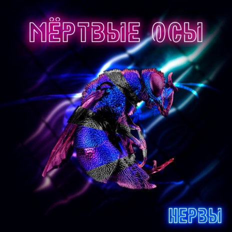 Нервы | Boomplay Music