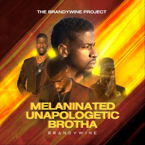 Melaninated Unapologetic Brotha | Boomplay Music