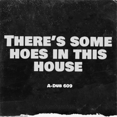 There's Some Hoes in This House | Boomplay Music