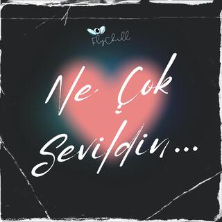 Ne Çok Sevildin lyrics | Boomplay Music