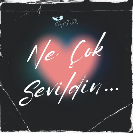 Ne Çok Sevildin