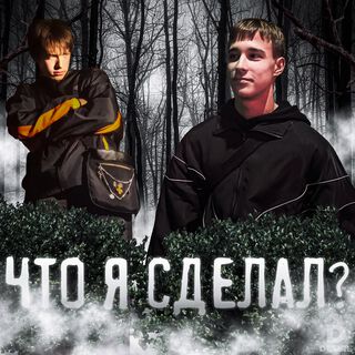 Что я сделал ?