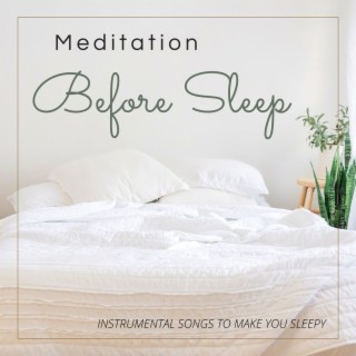 Meditation Before Sleep: Instrumental Songs to Make you Sleepy