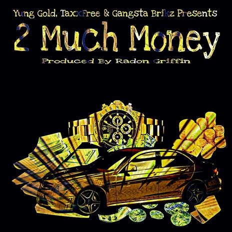 2 Much Money ft. Gangsta Brikz & TaxxFree | Boomplay Music