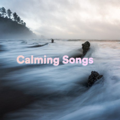 See Me at Sunset ft. Meditation Songs & Calming Songs | Boomplay Music