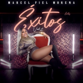 Exitos Vol. 2