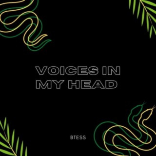 Voices In My Head