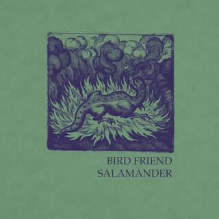 Salamander