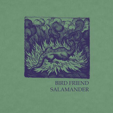 Salamander | Boomplay Music