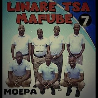 Linare Tsa MAfube - Moepa