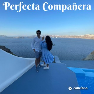 Perfecta Compañera