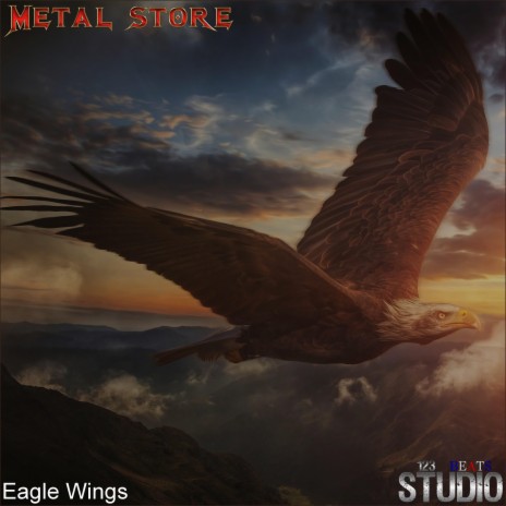 Eagle Wings | Boomplay Music