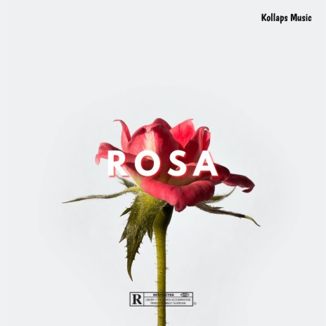 Rosa | Boomplay Music