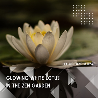 Glowing White Lotus in the Zen Garden