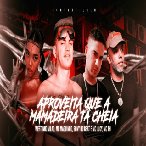 APROVEITA QUE A MAMADEIRA TA CHEIA ft. Wertinho Vilão, Mc Maguinho, MC Lucy & MC TH | Boomplay Music