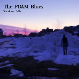 The PDAM Blues