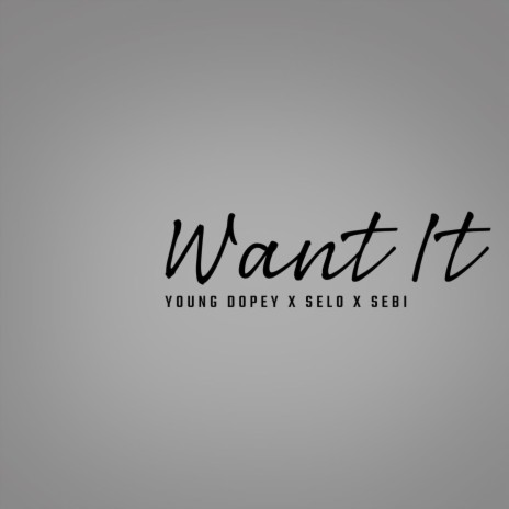 Want It ft. Selo & Sebi | Boomplay Music