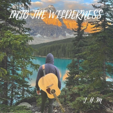 Into The Wilderness | Boomplay Music