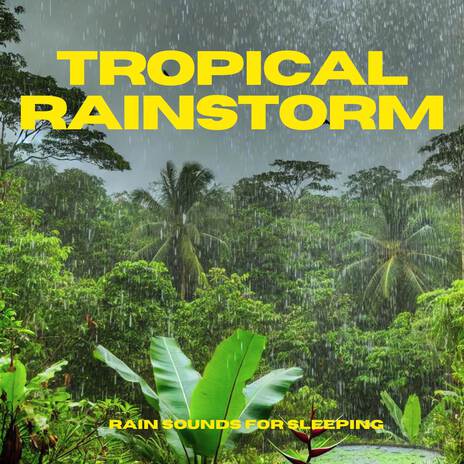 Tropical Rainforest Rain Meditation | Boomplay Music