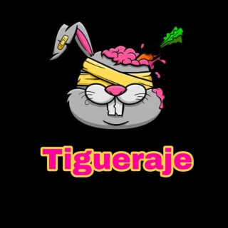 Tigueraje