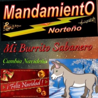 Mi burrito sabanero (Cumbia Navideña