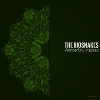 The Biosnakes