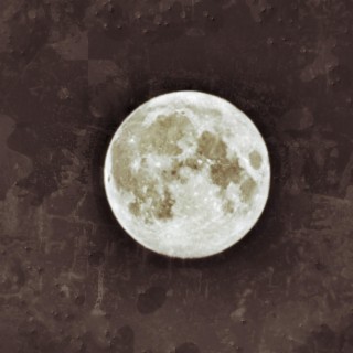 The moon