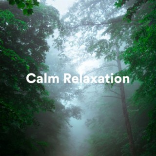 Calm Relaxation