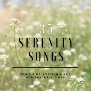 35 Serenity Songs: Tonic & Relaxation Music for Peaceful Times