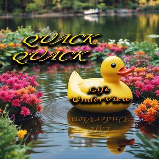 Quack Quack lyrics | Boomplay Music