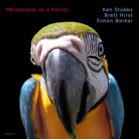 Personality of a Parrot ft. Brett Hirst & Simon Barker
