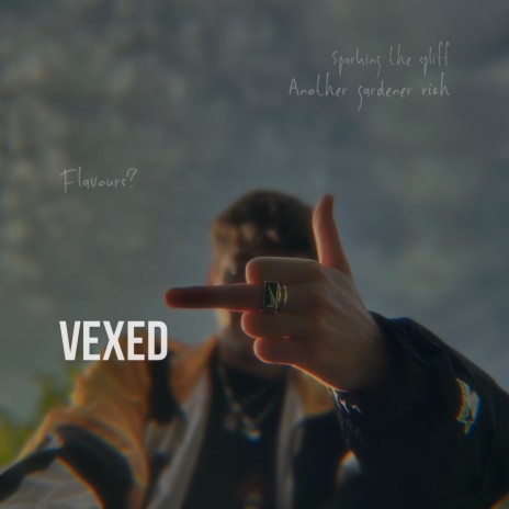 Vexed | Boomplay Music