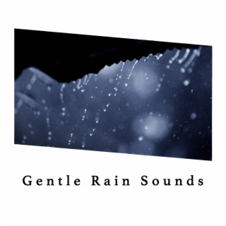 Gentle Rain Sounds