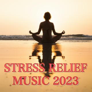 Stress Relief Music 2023