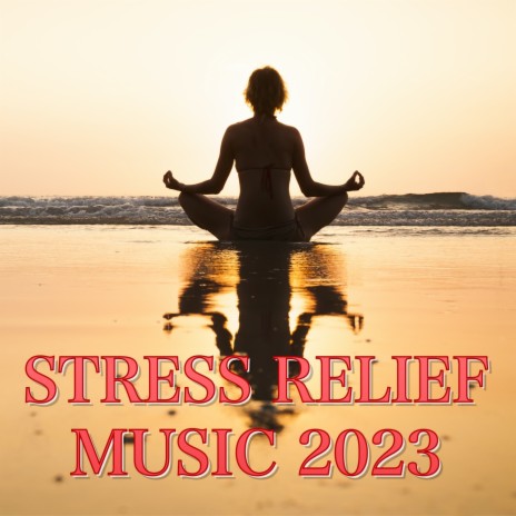 Relaxation and Meditation | Boomplay Music