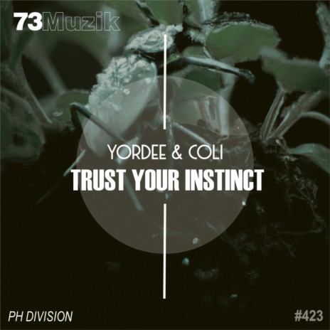 Trust Your Instinct ft. Coli | Boomplay Music
