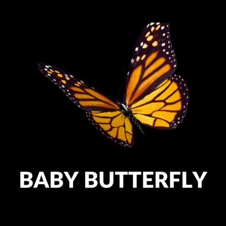 Baby Butterfly | Boomplay Music