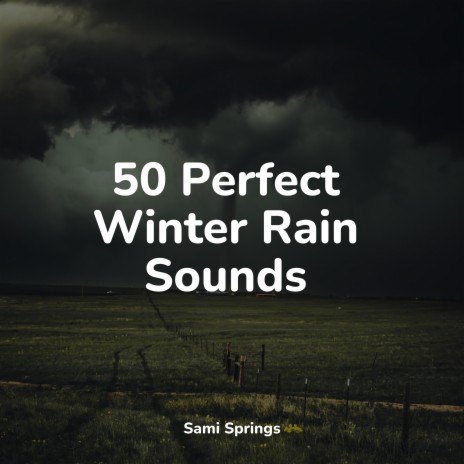 Rain, Storm and Thunder | Boomplay Music