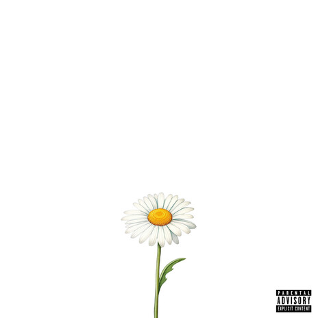 Daisy | Boomplay Music