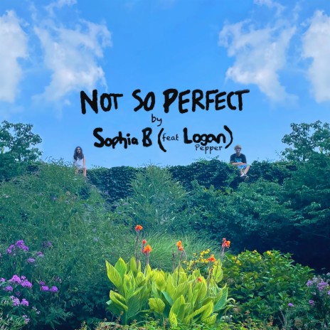 Not so Perfect ft. Logan Pepper | Boomplay Music