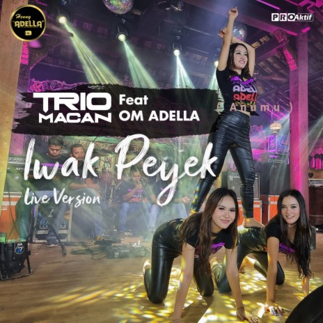 Iwak Peyek (Live Version) ft. OM ADELLA | Boomplay Music