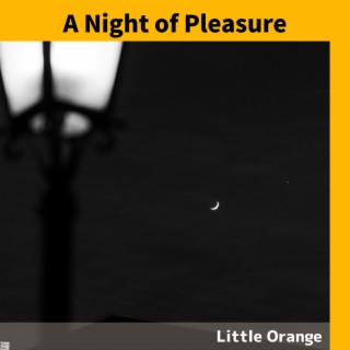 A Night of Pleasure