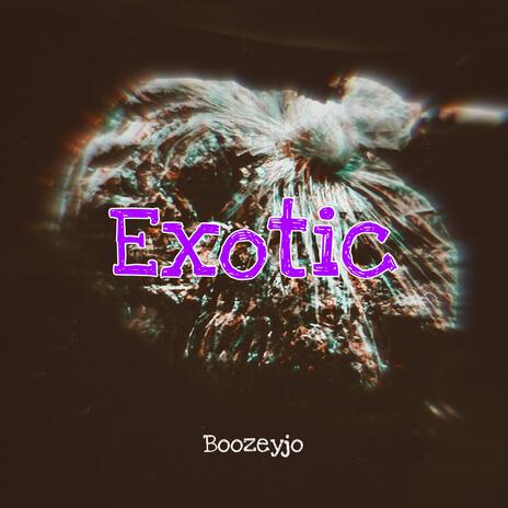 Exotic | Boomplay Music