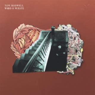 Tom Rodwell